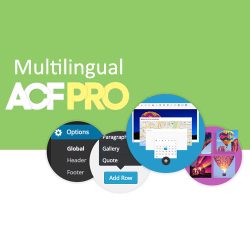 Advanced-Custom-Fields-Multilingual